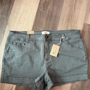 BKE Women's Gray Cargo Shorts